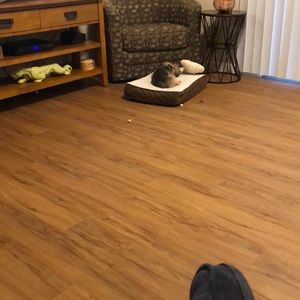 Meet your Posher, Robert